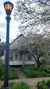 Pinkston Gardens - Image 3
