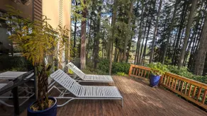Shangri-La in the Woods - Image 4