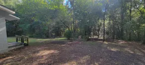 Back Woods Cottage - Image 4