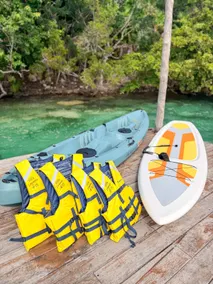 Luxury Jungle Villa • Lagoon Access • Kayaks & SUP - Image 4
