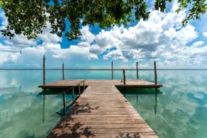 Luxury Jungle Villa • Lagoon Access • Kayaks & SUP - Image 2