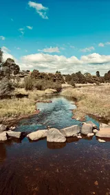 Escape to the Country–Riverside Retreat in Bombala - Image 5