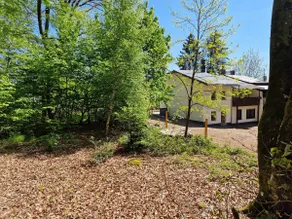 Prümzurlayer forest view 2 - Image 5