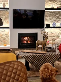 Luxury Country Retreat · Fireplace & BBQ Nights - Image 4