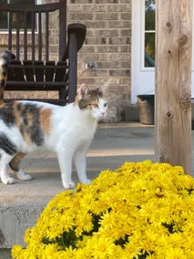Welcome to Proctor’s Porch - Image 3