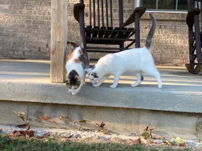 Welcome to Proctor’s Porch - Image 2