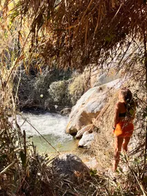 Cortijo Chupito - Image 5
