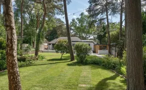 Kiwi Pines forest retreat! - Image 4
