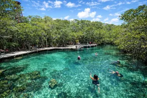 Jungle and Sea – Large group 24 people in Holbox - Image 5