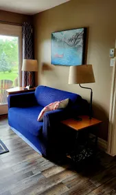 Niagara Bike Trails, Golfing, Wineries - Image 4