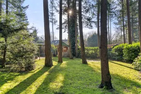 Quiet Boshuis Lunteren, Veluwe, Tuin en Haard. - Image 4
