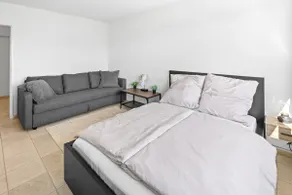 Modern living near Zurich – between city & nature - Image 3
