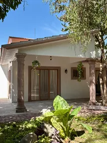 The Crocodile House - Image 2