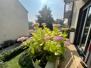 B&B Dream Milano Santa Giulia Free Wi-Fi M3 - Image 3