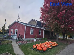 Living the farm life! - Image 4