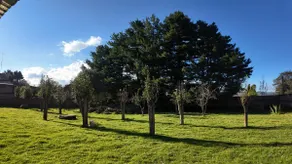 Beautiful and large house with green areas, fireplace. - Image 4
