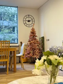 Mascot Spacious 3B2B Apt near Airport with Parking - Image 3