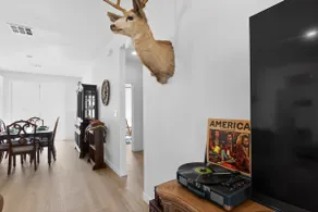 New Home, Tesla EV, Native Decor - Image 2