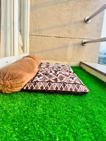 1BHK,Balcony, Sunset, Netflix and chill, Canopy - Image 4