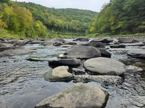 Roscoe River House - riverside tranquility - Image 5