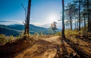 Creekside Base for Hiking & Biking | Near Downtown - Image 5