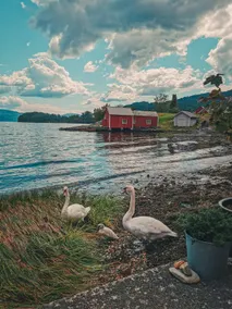 Fjordside Boathouse Hardanger - Image 5