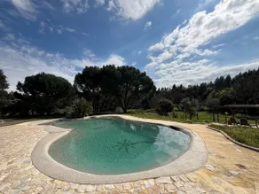 A magical place surrounded by nature. - Image 2