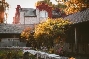 Cottage am Rosencarree - Image 3