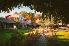Cottage am Rosencarree - Image 4