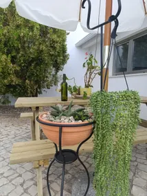 Olive Grove Backyard - A Refuge in Nature - Image 4