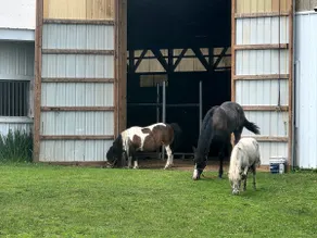 Happy Mountain Ranch•Feed Animals•30 Acres+Jacuzzi - Image 2
