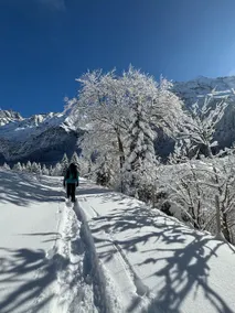Alpine Hideaway - Cozy Mountainview Studio, Home-Cinema, Free Parking, Ski, Engelberg, Luzern - Image 5