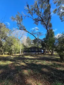 Ocala National Forest Cabin Firefly Season is Here - Image 3