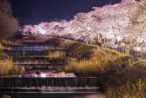 桜に酔い月に憩う箱根宮城野の古民家　一棟貸切の静寂な和の宿『SUITE VILLA 箱根 月乃庄』 - Image 4
