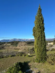 Tenuta Buraggi - Image 5