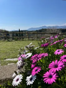Tenuta Buraggi - Image 4