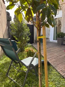 cozy & bright – private garden and old charm - Image 5