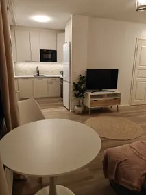 Modern city home + private sauna (350m to the train) - Image 2