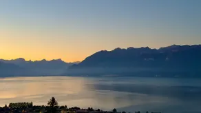 In the Vines - Exceptional Lake & Alps View - Image 2