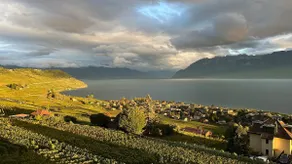 In the Vines - Exceptional Lake & Alps View - Image 3