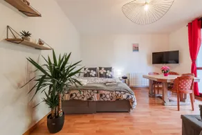 Cozy and bright 60 m² quiet place near Strasbourg - Image 2