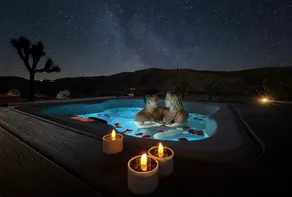 Zenity Joshua tree - Image 3