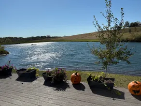 Relaxing pond house nestled in nature - Image 5