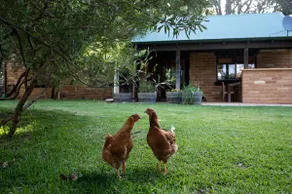 Marmalade Cottage - Kilcarnup Retreat - Image 2