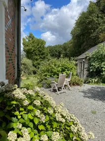Between forest and exceptional views - Image 3
