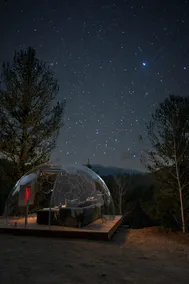 Luxe Mtn Cabin | Hot Tub, Sauna, Stargazing Dome - Image 3