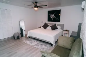 Tampa Escape - Image 4