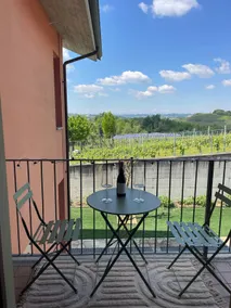 Casa Aurea. Panoramic apartment near Alba - Image 4