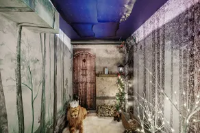 Secret Narnia Room - *Hot Tub*, Game Room - Image 4