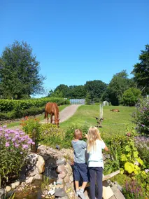 Landhaus Freche Socke - Image 2